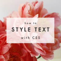 How to Style Text with CSS | The Blog Market