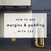 CSS Basics: Margin & Padding | The Blog Market
