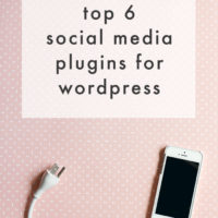 Social Media Wordpress Plugins | The Blog Market