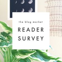 The Blog Market Reader Survey