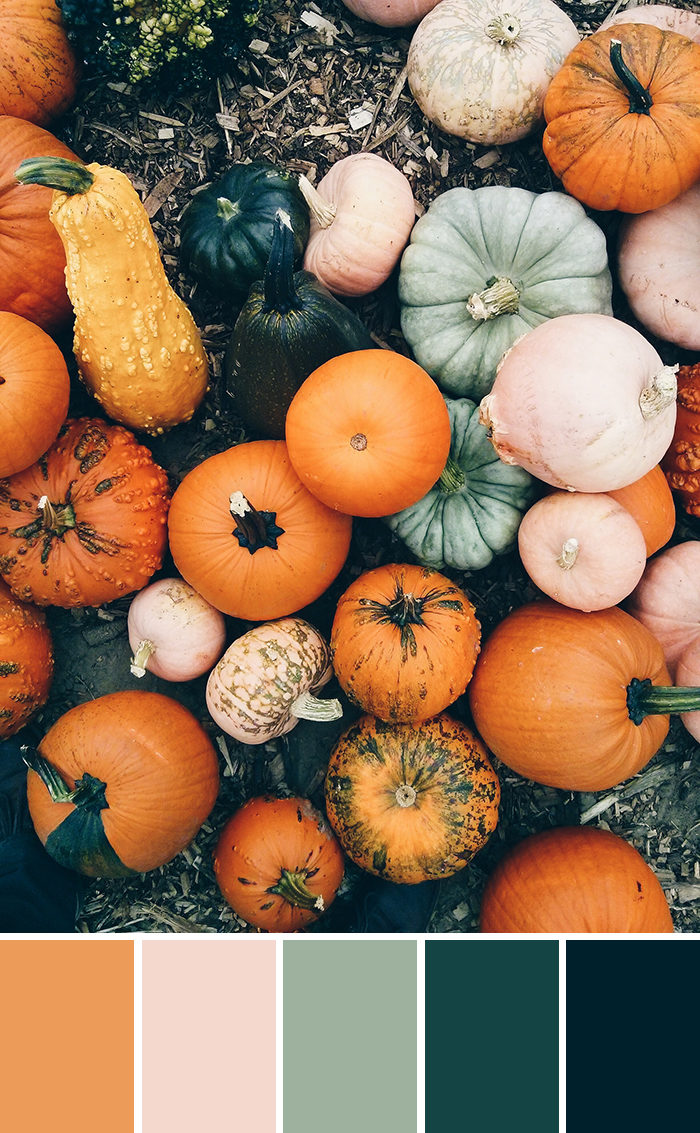Fall Color Palettes | The Blog Market