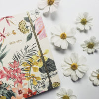 Best 2018-2019 Planners for Creatives